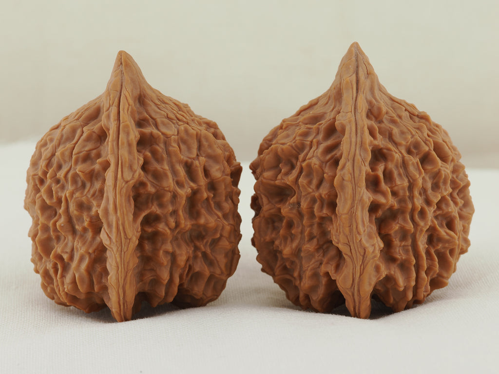 Vermilion Bird Walnut Pair — 40.0 mm (Zhu Que) — Side view — WW-00035