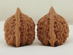 Vermilion Bird Walnut Pair — 40.0 mm (Zhu Que) — Side view — WW-00035