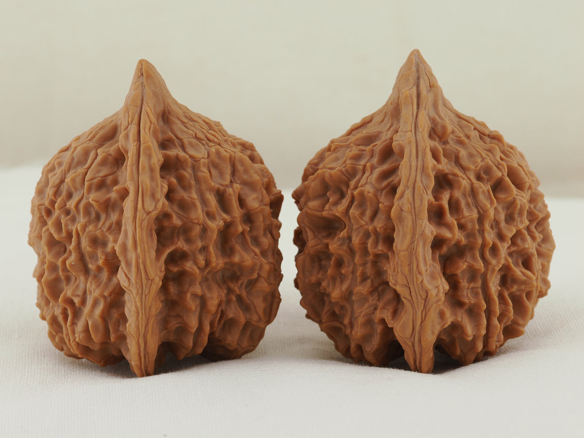 Vermilion Bird Walnut Pair — 40.0 mm (Zhu Que) — Side view — WW-00035
