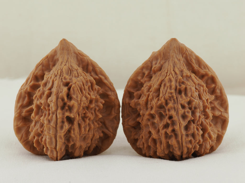 Vermilion Bird Walnut Pair — 40.0 mm (Zhu Que) — Reverse view — WW-00035