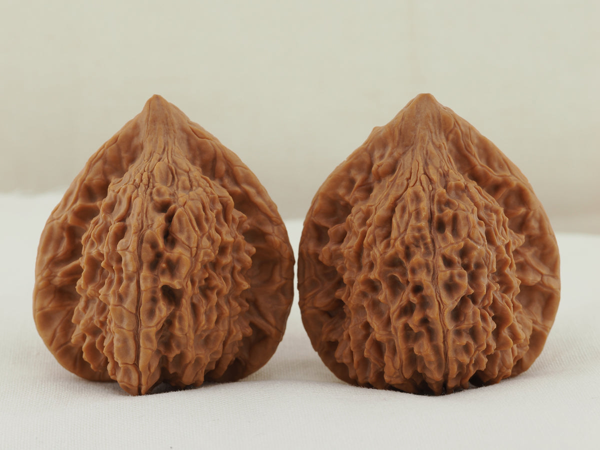 Vermilion Bird Walnut Pair — 40.0 mm (Zhu Que) — Reverse view — WW-00035
