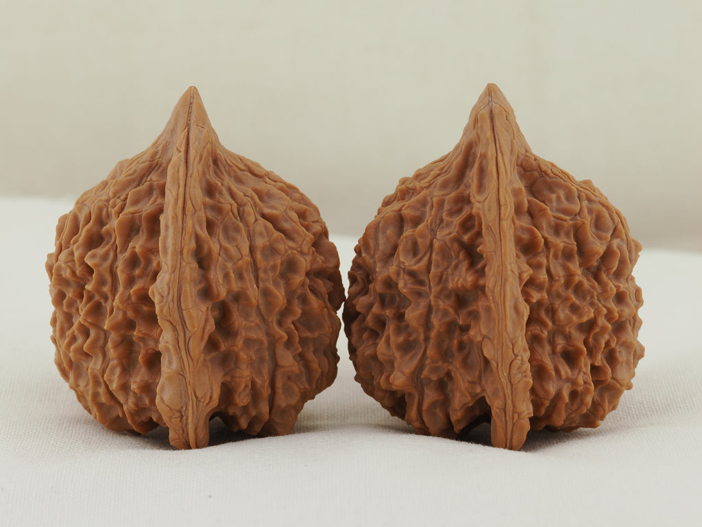 Vermilion Bird Walnut Pair — 40.0 mm (Zhu Que) — Opposite side view — WW-00035