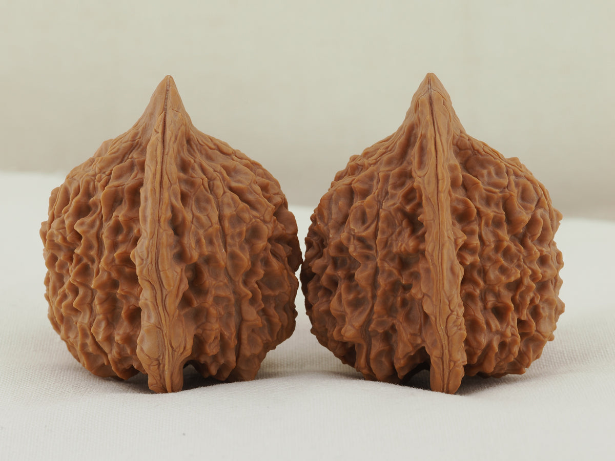 Vermilion Bird Walnut Pair — 40.0 mm (Zhu Que) — Opposite side view — WW-00035