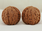 Iron Hammer Walnut Pair — 40.0 mm (Tie Chui) — Reverse view — WW-00036