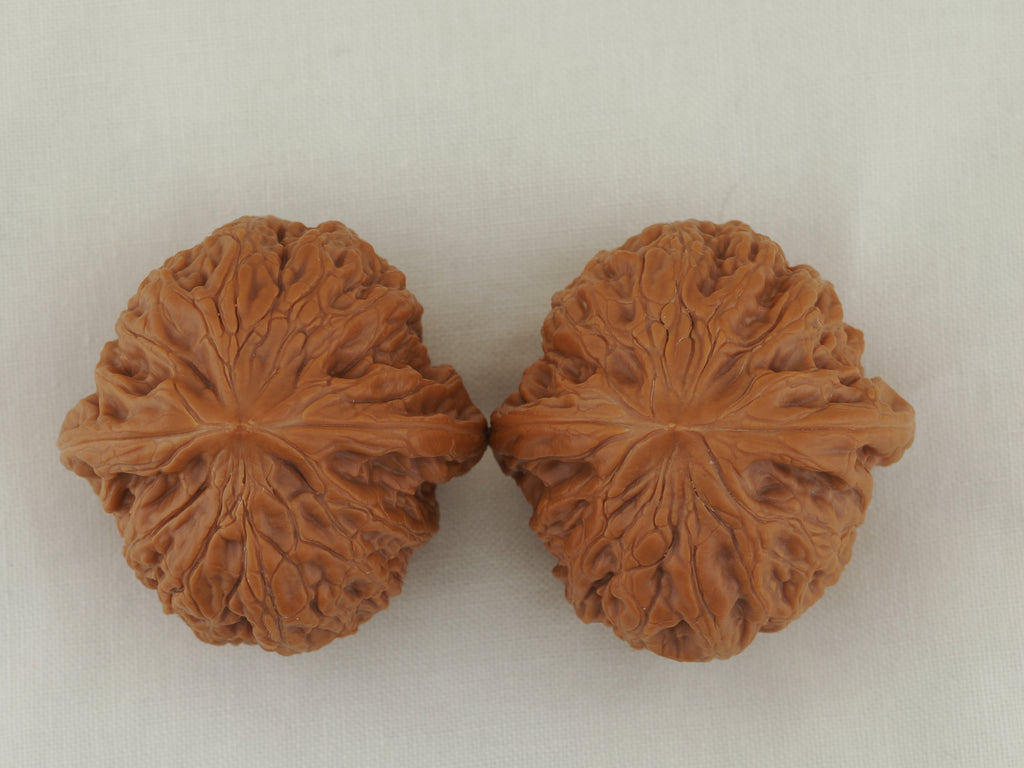 Iron Hammer Walnut Pair — 40.0 mm (Tie Chui) — Crown view — WW-00036