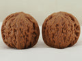 Iron Hammer Walnut Pair — 40.0 mm (Tie Chui) — Front view — WW-00037