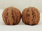 Iron Hammer Walnut Pair — 40.0 mm (Tie Chui) — Side view — WW-00037