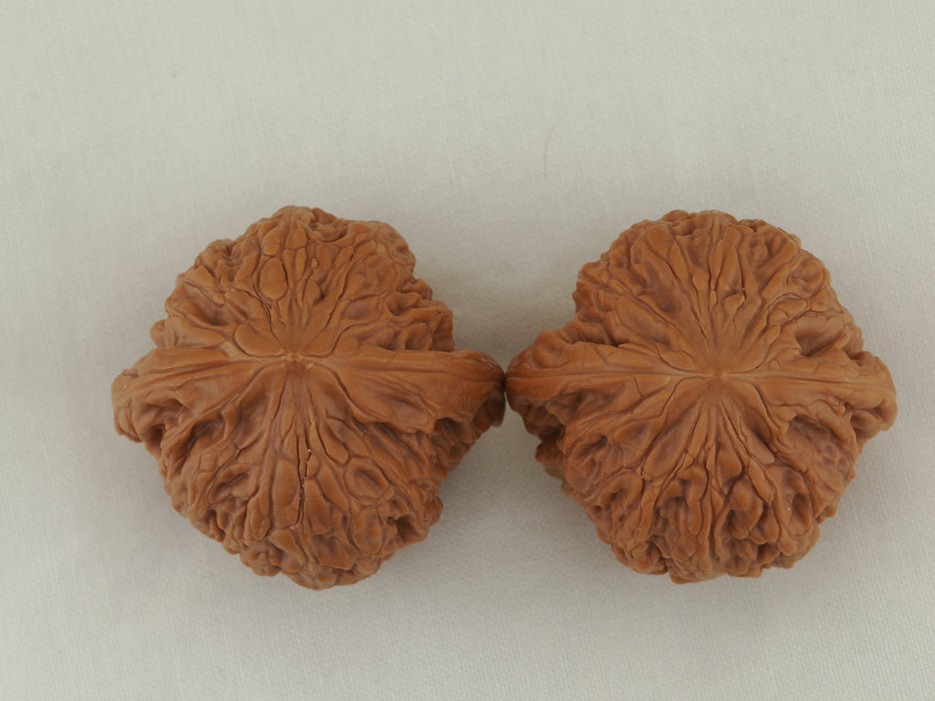 Iron Hammer Walnut Pair — 40.0 mm (Tie Chui) — Crown view — WW-00037