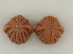 Iron Hammer Walnut Pair — 40.0 mm (Tie Chui) — Base view — WW-00037