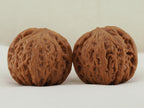Iron Hammer Walnut Pair — 40.0 mm (Tie Chui) — Front view — WW-00038