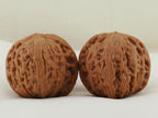 Iron Hammer Walnut Pair — 40.0 mm (Tie Chui) — Reverse view — WW-00038