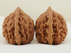 Chicken Heart Walnut Pair — 41.0 mm (Ji Xin) — Side view — WW-00039