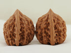 Chicken Heart Walnut Pair — 41.0 mm (Ji Xin) — Opposite side view — WW-00039