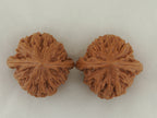 Chicken Heart Walnut Pair — 41.0 mm (Ji Xin) — Crown view — WW-00039