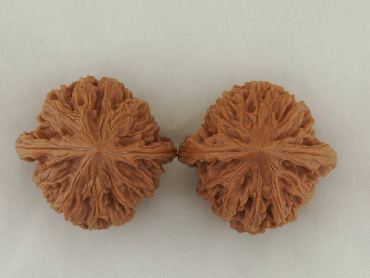 Chicken Heart Walnut Pair — 41.0 mm (Ji Xin) — Crown view — WW-00039