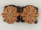 Chicken Heart Walnut Pair — 41.0 mm (Ji Xin) — Base view — WW-00039