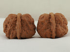 Toad Head Walnut Pair — 45.0 mm (Ha Ma Tou) — Side view — WW-00040