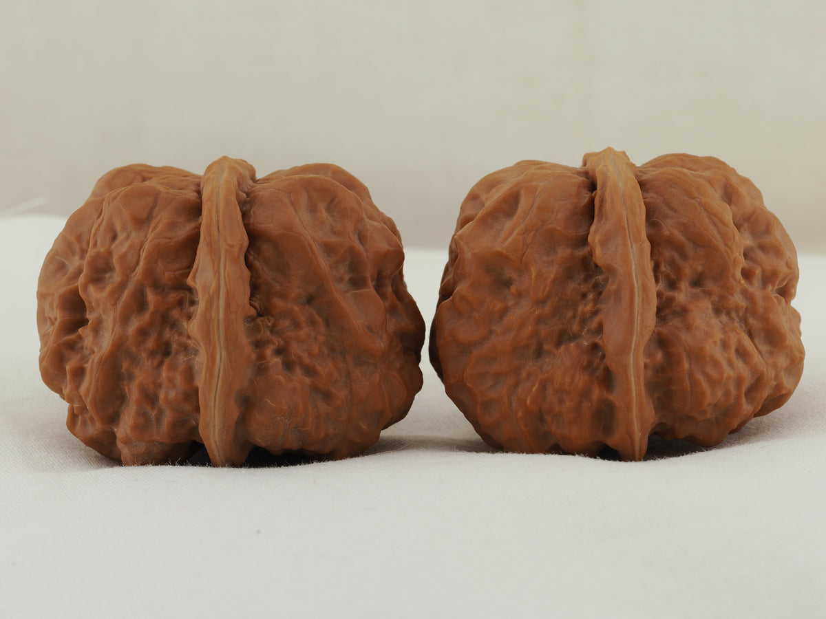 Toad Head Walnut Pair — 45.0 mm (Ha Ma Tou) — Side view — WW-00040