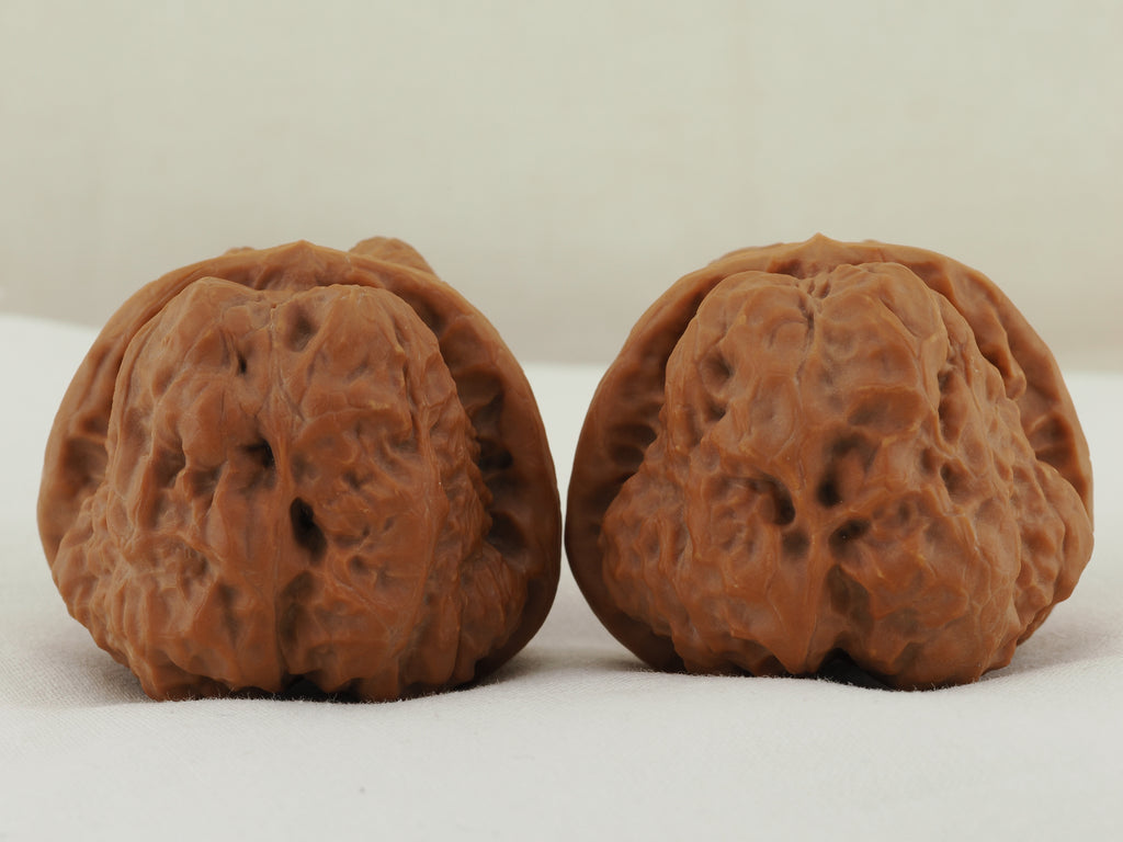 Toad Head Walnut Pair — 45.0 mm (Ha Ma Tou) — Reverse view — WW-00040