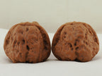Toad Head Walnut Pair — 45.0 mm (Ha Ma Tou) — Reverse view — WW-00040