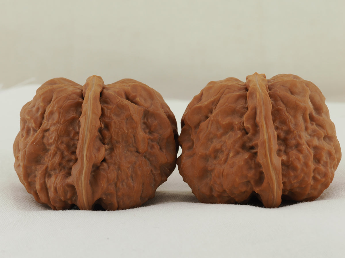 Toad Head Walnut Pair — 45.0 mm (Ha Ma Tou) — Opposite side view — WW-00040