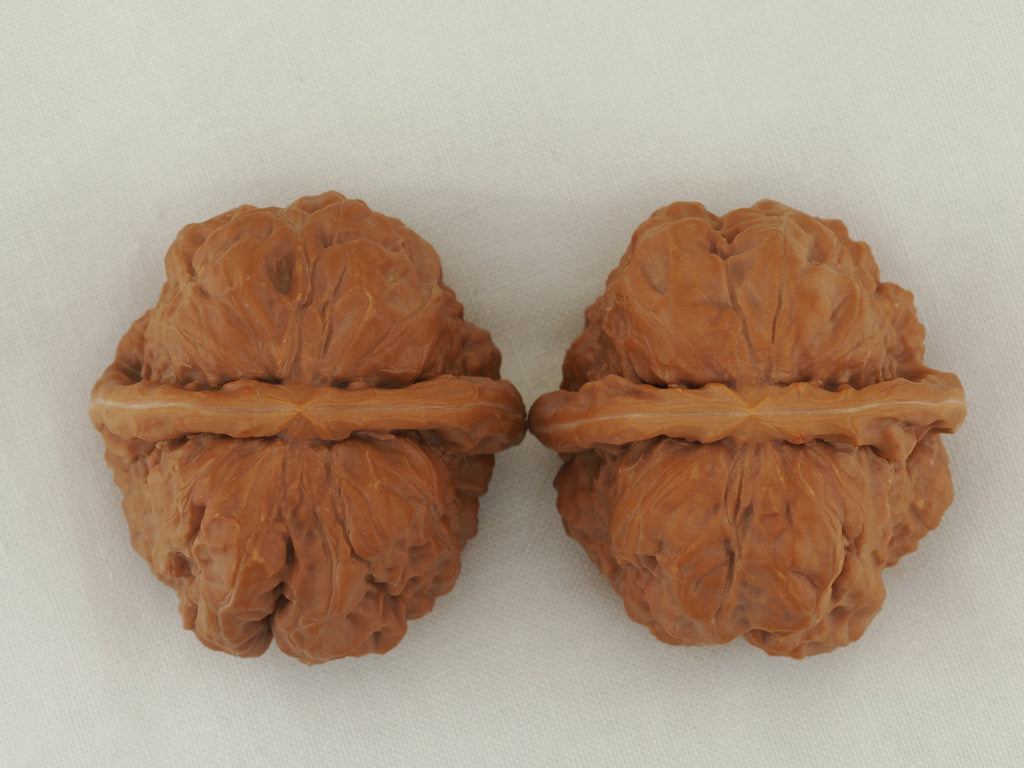 Toad Head Walnut Pair — 45.0 mm (Ha Ma Tou) — Crown view — WW-00040