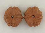 Toad Head Walnut Pair — 45.0 mm (Ha Ma Tou) — Base view — WW-00040