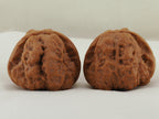 Toad Head Walnut Pair — 44.0 mm (Ha Ma Tou) — Reverse view — WW-00041