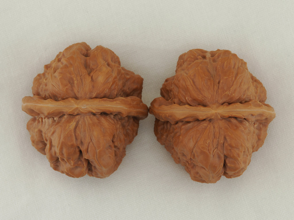 Toad Head Walnut Pair — 44.0 mm (Ha Ma Tou) — Crown view — WW-00041