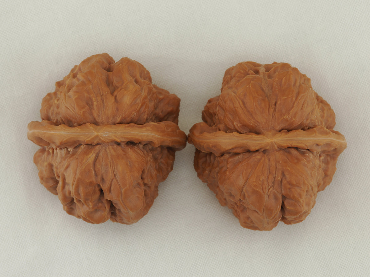 Toad Head Walnut Pair — 44.0 mm (Ha Ma Tou) — Crown view — WW-00041