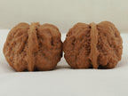 Toad Head Walnut Pair — 44.0 mm (Ha Ma Tou) — Side view — WW-00042
