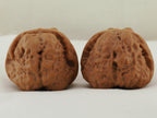 Toad Head Walnut Pair — 44.0 mm (Ha Ma Tou) — Reverse view — WW-00042