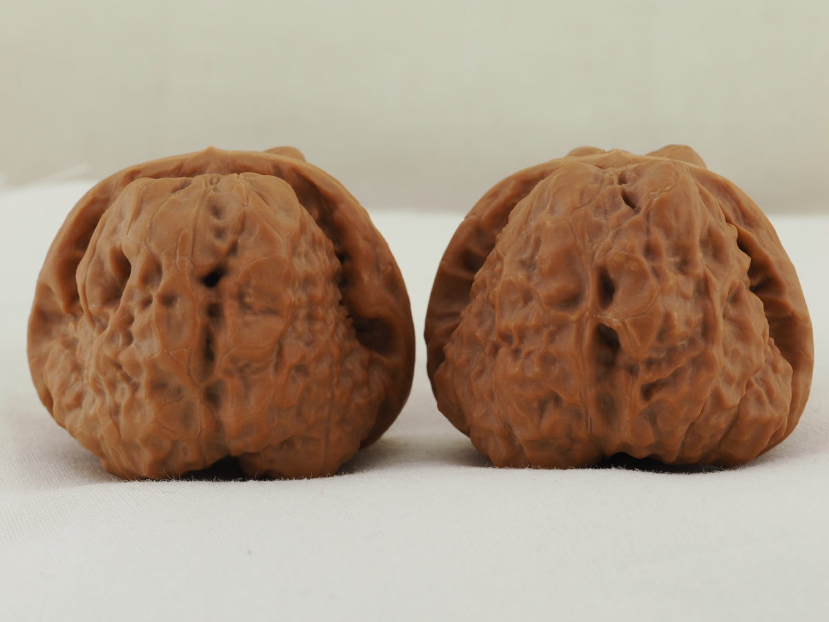 Toad Head Walnut Pair — 44.0 mm (Ha Ma Tou) — Reverse view — WW-00042