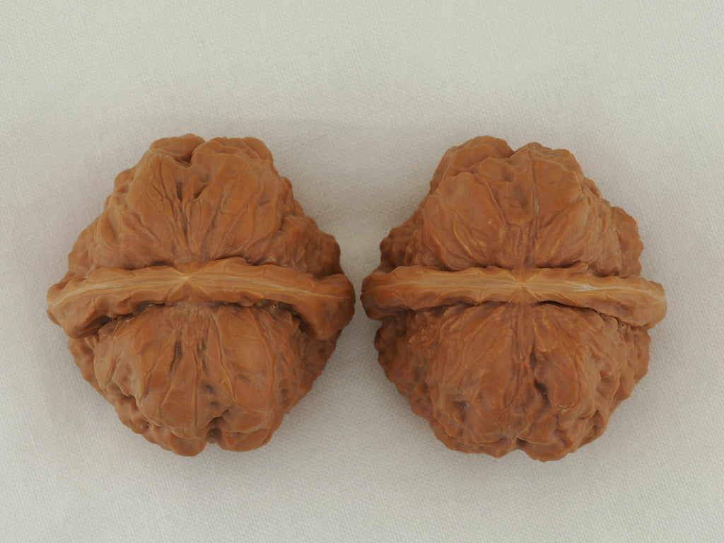 Toad Head Walnut Pair — 44.0 mm (Ha Ma Tou) — Crown view — WW-00042