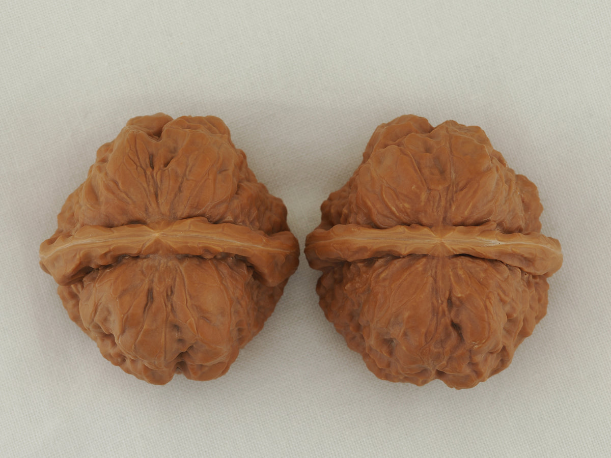 Toad Head Walnut Pair — 44.0 mm (Ha Ma Tou) — Crown view — WW-00042