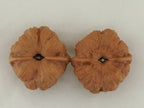 Toad Head Walnut Pair — 44.0 mm (Ha Ma Tou) — Base view — WW-00042