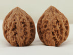 Dagu Stone Walnut Pair — 40.0 mm (Da Gu Shi) — Front view — WW-00043