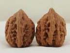 Dagu Stone Walnut Pair — 40.0 mm (Da Gu Shi) — Side view — WW-00043