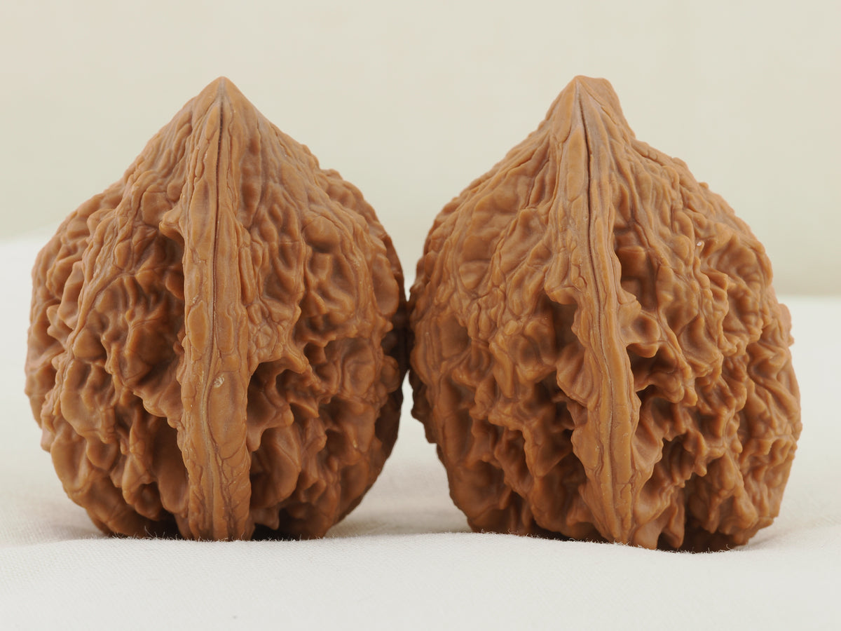 Dagu Stone Walnut Pair — 40.0 mm (Da Gu Shi) — Opposite side view — WW-00043