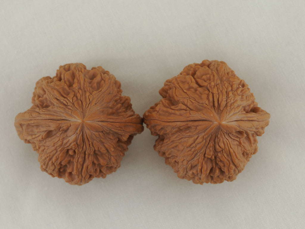 Dagu Stone Walnut Pair — 40.0 mm (Da Gu Shi) — Crown view — WW-00043