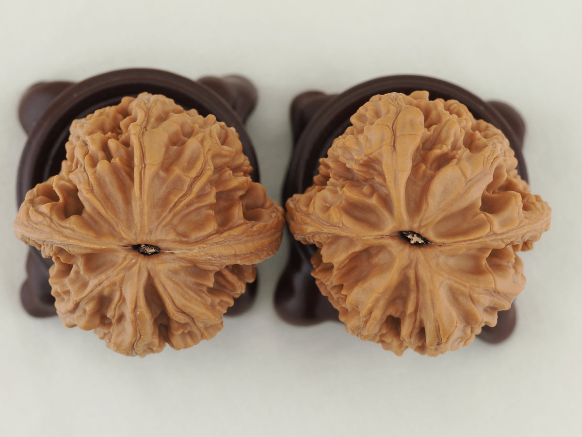 Dagu Stone Walnut Pair — 40.0 mm (Da Gu Shi) — Base view — WW-00043