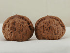 Pumpkin Walnut Pair — 46.0 mm (Nan Gua Dun) — Reverse view — WW-00044