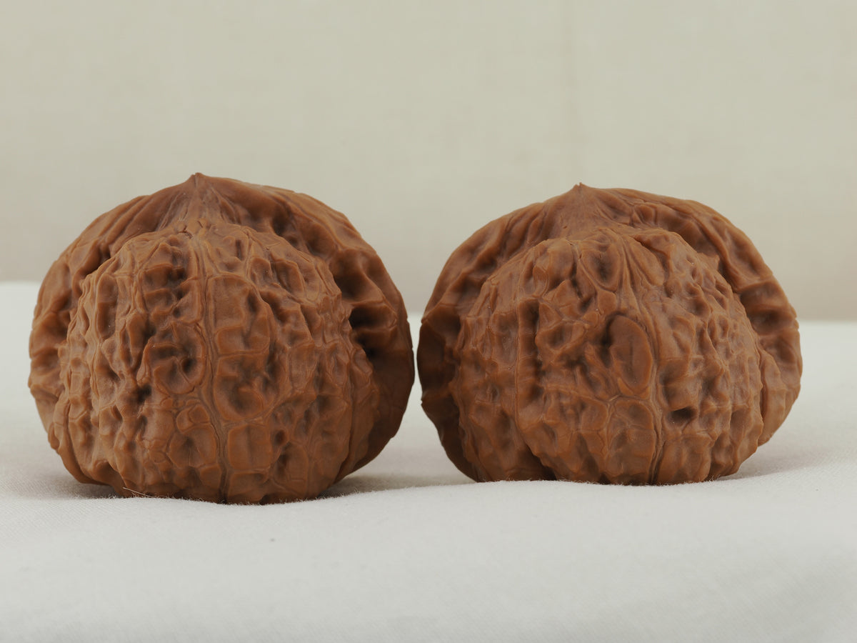 Pumpkin Walnut Pair — 46.0 mm (Nan Gua Dun) — Reverse view — WW-00044