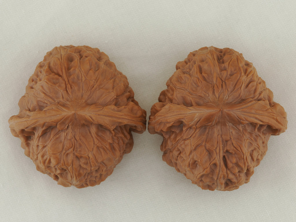 Pumpkin Walnut Pair — 46.0 mm (Nan Gua Dun) — Crown view — WW-00044