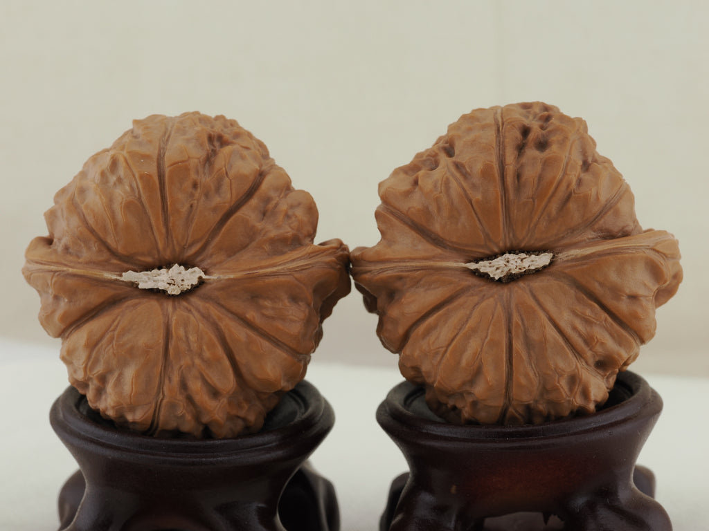 Pumpkin Walnut Pair — 46.0 mm (Nan Gua Dun) — Base view — WW-00044