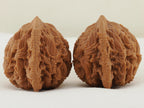 Tiger Head Devour Carved Walnut Pair — 41.0 mm (Hu Tou Tun Shi) — Opposite side view — WW-00045
