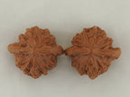 Tiger Head Devour Carved Walnut Pair — 41.0 mm (Hu Tou Tun Shi) — Crown view — WW-00045