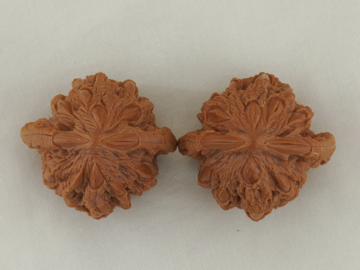 Tiger Head Devour Carved Walnut Pair — 41.0 mm (Hu Tou Tun Shi) — Crown view — WW-00045
