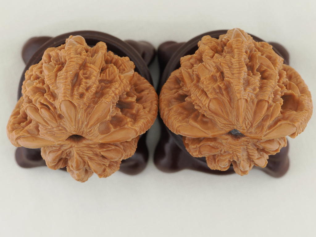 Tiger Head Devour Carved Walnut Pair — 41.0 mm (Hu Tou Tun Shi) — Base view — WW-00045