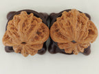 Tiger Head Devour Carved Walnut Pair — 41.0 mm (Hu Tou Tun Shi) — Base view — WW-00045